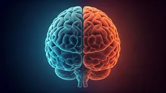 Master Your Emotions: 10 Habits to Boost Your Emotional Intelligence Today