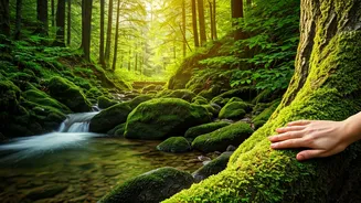 The Weekend Upgrade Every Nature Lover Needs