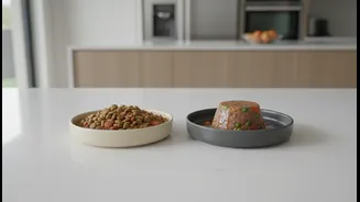 From Kibble To Gourmet: Smarter Ways To Transition Your Pet's Daily Diet