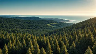June Is For Hills, Forests And Cooler Air