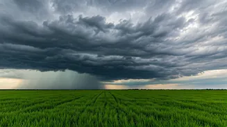 IMD's Rain Outlook Could Influence More