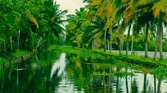 Why Sustainable Travel Is Becoming a Strategic Priority for Kerala