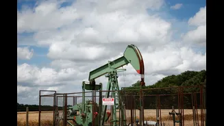 Were Oil Traders Tipped Off Before Trump Delayed Iran Strikes? US Probes $800 Million Oil Bets