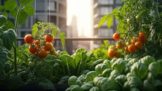 Your Terrace Veggie Patch Enhances City Green Cover Metrics Substantially