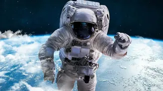 Private space stations adopt inflatable modules to expand low gravity science capabilities