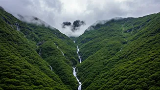 The Rainy Adventure Worth Every Drop