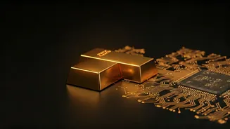 ETFs Vs Digital Gold Is Financial Literacy Gold
