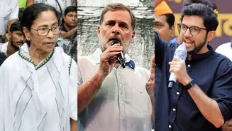 'Most Anti-Youth' PM in History: Rahul, Oppn Target Govt Over Crackdown on Cockroach Party Protesters