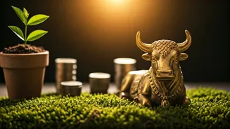 Sun in Taurus 2026: Navigating Practicality, Prosperity, and Personal Growth