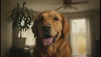 What We Can Learn from Indoor Pet Overheating in Humid Homes about Cooling