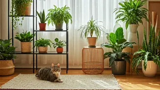 Pet Approved Plants Dominate Modern Urban Farming Plant Nurseries Sales