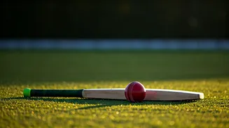 Navigating the Online Landscape: A Guide