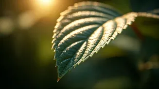 Summer Skincare Secrets: Expert Tips for Radiant Skin All Season Long