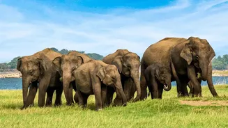 Nature-Filled August Trips Are Inspiring More Wildlife Travel Plans