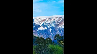 Related Stories banner