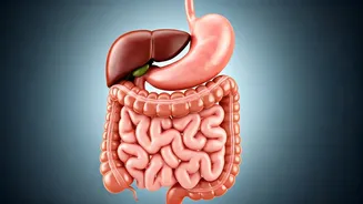 Yoga Poses for Smooth Digestion: A Guide