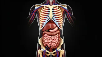 Unveiling Protein's Truths: Busting Myths