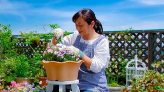 How Porous Clay Containers Maintain Ideal Soil Moisture In Balcony Gardens During Summer