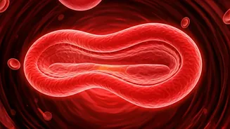 Tackling Anemia: The Revolutionary 3-in-1 Supplement