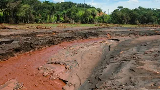 Julgamento na Alemanha sobre Brumadinho avança