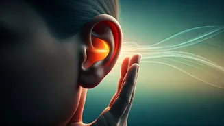 Unlock Lower Blood Pressure & Stress: Master the 'Bee Breath' Daily