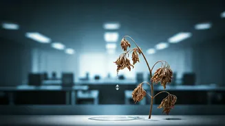 Burnout in Indian Workplaces: A Growing Crisis?