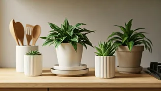Cooking Corners Are Becoming Tiny Plant Mood Boards