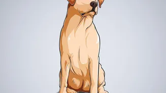How to Prepare a Shy Pet for Visitors