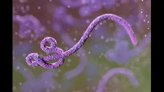 Congo tem mais de 900 casos suspeitos de ebola, diz OMS