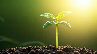 Unlocking Your Stature: The Secrets Behind How Tall You Grow!