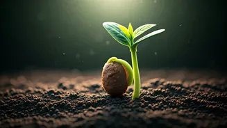 Unlock Your Seed's Potential: Factors Influencing Germination & Faster Sprouting