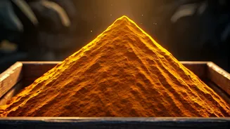 Unearthing India's Golden Spice: Erode, The Turmeric Capital of the World