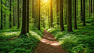 5 Hidden Delhi Forests: Nature's Secret Sanctuaries