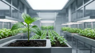 New AI Tool Designs Plant Defences for Specific Biological Threats