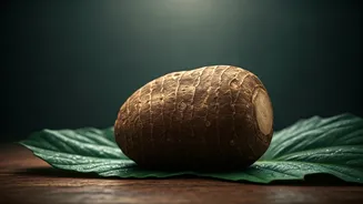 Unlock Vibrant Health: The Amazing Benefits of African Arrowroot