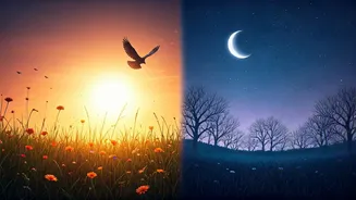 Unraveling Your Inner Clock: Why You're a Morning Lark or Night Owl by Nature