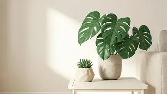 Low-Maintenance Greens Make Homes Look Better Fast