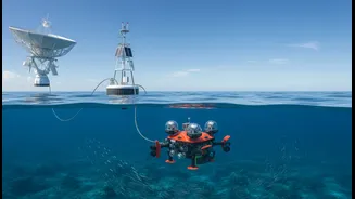 Ocean Observation Is Emerging As A Key Climate Adaptation Tool