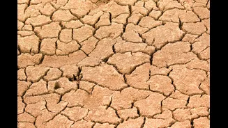 El Niño Triggers Water Emergency in Andhra Pradesh