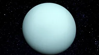 How To Plan An August Stargazing Session Around Venus And Other Events