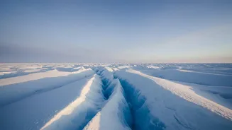 NASA's Two-Year Polar Heat Record Brings Arctic And Antarctic Energy Changes Into Focus
