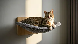 Upgrade Feline Indoor Architecture Via Heavy-Duty Mounted Sun Perches