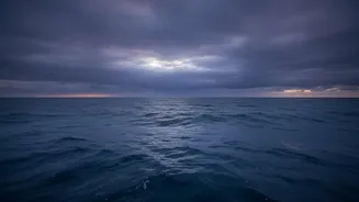July's Record Global Sea Heat: A Clearer View Of Ocean Heat Beyond Air Records