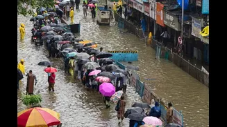 Mumbai Received Entire Month’s Rain In 7 Days: How Did It Happen Despite El Niño? Explained