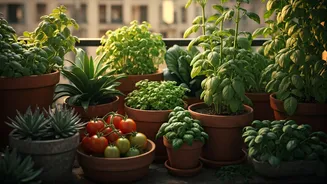 India Rediscovers Home Gardening