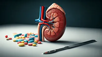 5 Habits That Threaten Your Kidneys: Expert's Insights