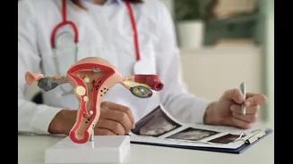 Longevidade íntima: por que mulheres estão cuidando da saúde antes da menopausa
