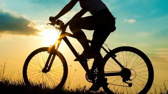 Both Cycling And Walking Can Support Blood-Sugar Management When Done Regularly