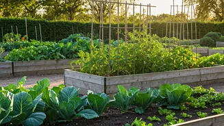 Post-Retirement Redefined: Purposeful Living