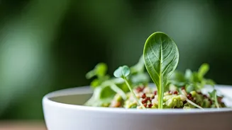 Superfood Influx: Youth Sprinkle Nutrient Rich Microgreens On Everyday Dishes